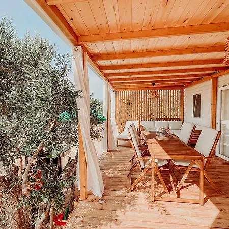 Diamond Coast Mobile *